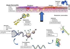 Frontiers | Leveraging Multilayered “Omics” Data for Atopic
