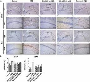 Frontiers | Effects of BIS-MEP on Reversing Amyloid Plaque