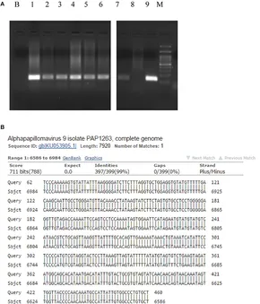 Frontiers | Putative Role of Circulating Human