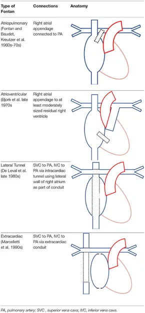 健康・医学 AFIP  Series 5 17 Disorders of the Heart Disorders of the Heart and Blood Vessels: unknown author