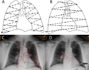 Reeder and Felson's Gamuts in Radiology: Comprehensive Lists