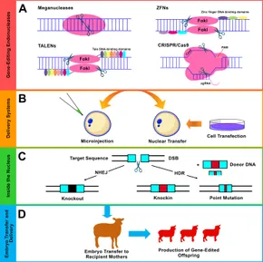 RETEN Frontiers | Sheep and Goat Genome Engineering: From Random ... Frontiers | Sheep and Goat Genome Engineering: From Random ... RETEN Frontiers | Sheep and Goat Genome Engineering: From Random ... Frontiers | Sheep and Goat Genome Engineering: From Random ...