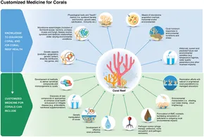 洋書 Coral Health and Disease Frontiers | Customized Medicine for Corals