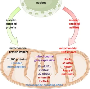 fgene-11-00095-g001.jpg