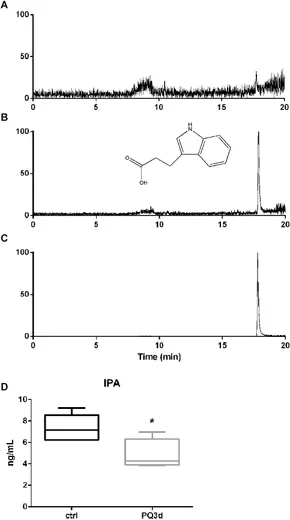 Frontiers | Identification of Serum-Based Metabolic Feature