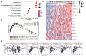 Frontiers | Novel Potential Biomarkers Associated With