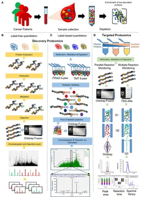 Quantitative Proteomic Analysis Reveals Functional