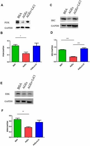 Frontiers | Pathological Mechanisms Linking Diabetes