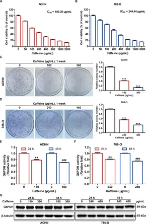Frontiers | Caffeine Targets G6PDH to Disrupt Redox