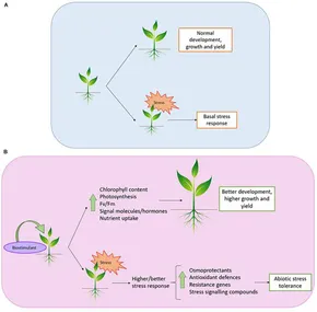 洋書 The chemical biology plant biostimulants fpls-11-575829-g001.jpg