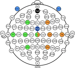 fnhum-14-580105-g001.jpg
