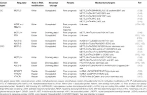 Frontiers | Methyladenosine Modification in RNAs