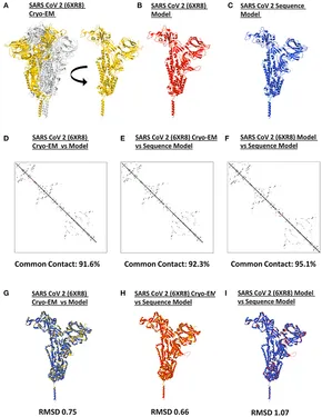 フリン様へ。 Structural and biochemical insights into flavivirus proteins