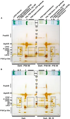 Frontiers | Effectiveness of Light-Quality and Dark-White