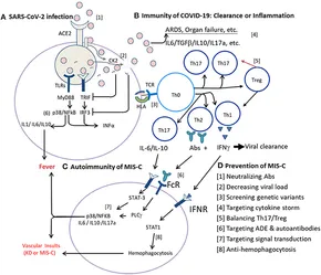 Frontiers | Diabetes and Hepatitis C: A Two-Way Association