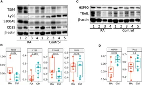 d。 Frontiers | Cross-Tissue Transcriptomic Analysis Leveraging