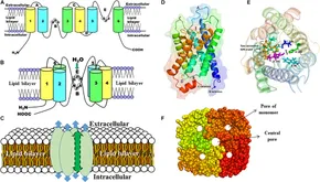 fgene-12-654865-g002.jpg