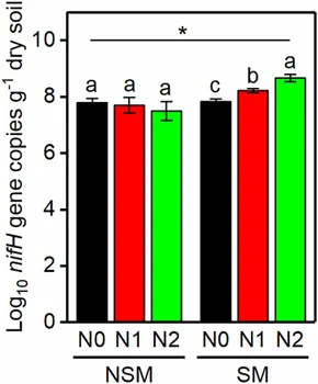 【送料無料キャンペーン】 Straw | Frontiers Mulching Affect Fertilization Nitrogen and 化粧下地