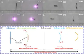専用ページ1 Selective Hydrogenation of Furfural to Furfuryl Alcohol over