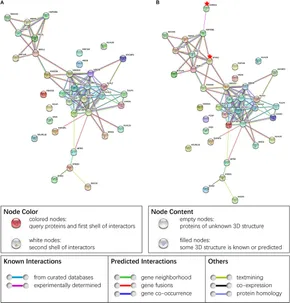 methページ fnmol-14-667725-g006.jpg