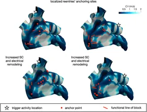Computational Electrophysiology: Dynamical Systems and Bifurcations， A First Course in Nonlinear oscillations, dynamical systems, and bifurcations