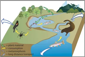 その他 Invasions of the Land: The Transitions of Organisms from Aquatic to Terrestrial Life The neuroecology of the water-to-land transition and the