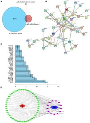 Frontiers | Network Pharmacology–Based Prediction and