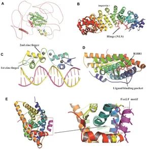 Frontiers | Roles of Key Epigenetic Regulators in the Gene