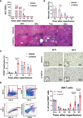 専用ページ035 Apple II Enthusiasts | Facebook