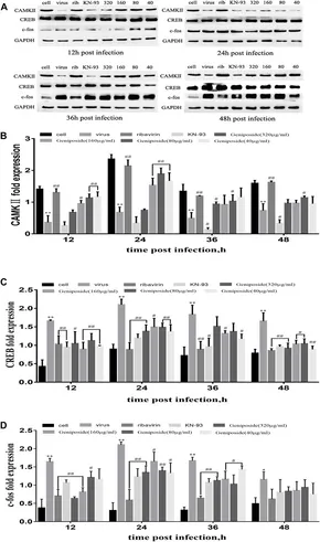 Frontiers | An Integrated Analysis Reveals Geniposide Frontiers | An Integrated Analysis Reveals Geniposide