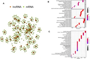 fgene-12-758596-g004.jpg