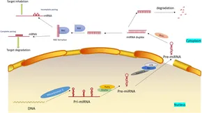 fcell-09-774370-g001.jpg