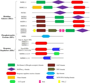 fgene-12-794305-g001.jpg