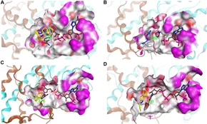 aminaseページ A family of native amine dehydrogenases for the asymmetric