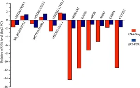 【GRYOU】 Sevoflurane anaesthesia induces cognitive impairment in