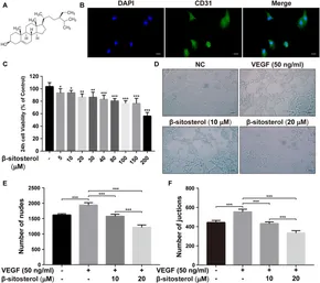 Diallyl Disulfide Induces Chemosensitization to Sorafenib
