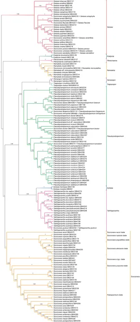 Frontiers | New Insights Into the Relationships Within