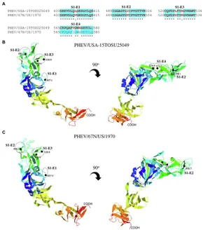 Frontiers | Genetic Characteristics of Porcine