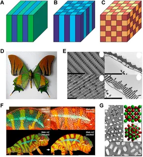 Photonic Crystals | Princeton University Press