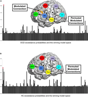 Advances in Cognitive Neurodynamics (II): Proceedings of the