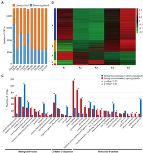 Frontiers | Full-Length Transcriptome Sequencing and