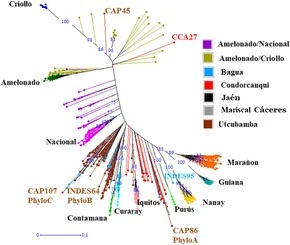 Frontiers | Genetic diversity and population structure of fine