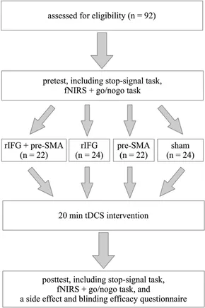 fnins-16-905247-g001.jpg