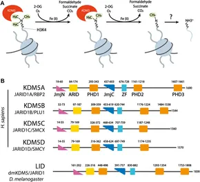 fgene-13-906662-g001.jpg