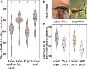 The Evolution of Insect Mating Systems: Thornhill, Randy