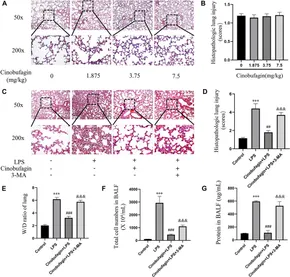 Frontiers | Advances in research on the effectiveness and