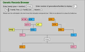 激レア G-RAP FAMILY TREE mqdefault.jpg