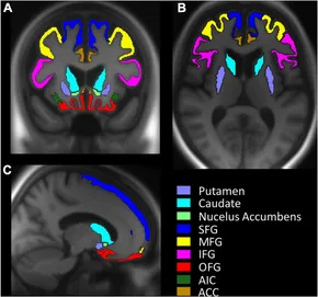 Advances in Cognitive Neurodynamics (VI): Proceedings of the Sixth International Conference on Cognitive Neurodynamics ? 2017 [ハードカバー] Delgado-Garc?a， Jos? M.、 Pan， Xiaochuan、 S?nchez-Campusano， Raude Neurodynamics of Cognition and Consciousness | SpringerLink