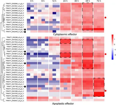 Frontiers | Integrative transcriptome analysis revealed the