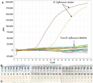 Frontiers | Real-time multiple cross displacement